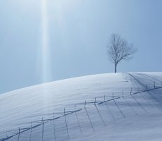 neige-f-t.JPG